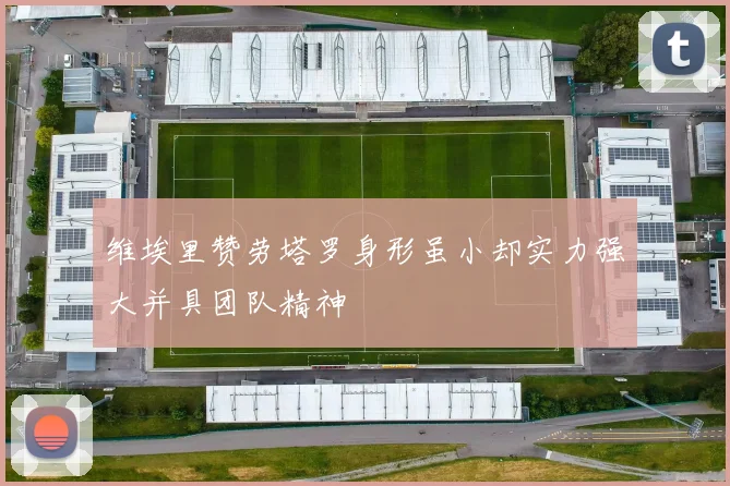 维埃里赞劳塔罗身形虽小却实力强大并具团队精神
